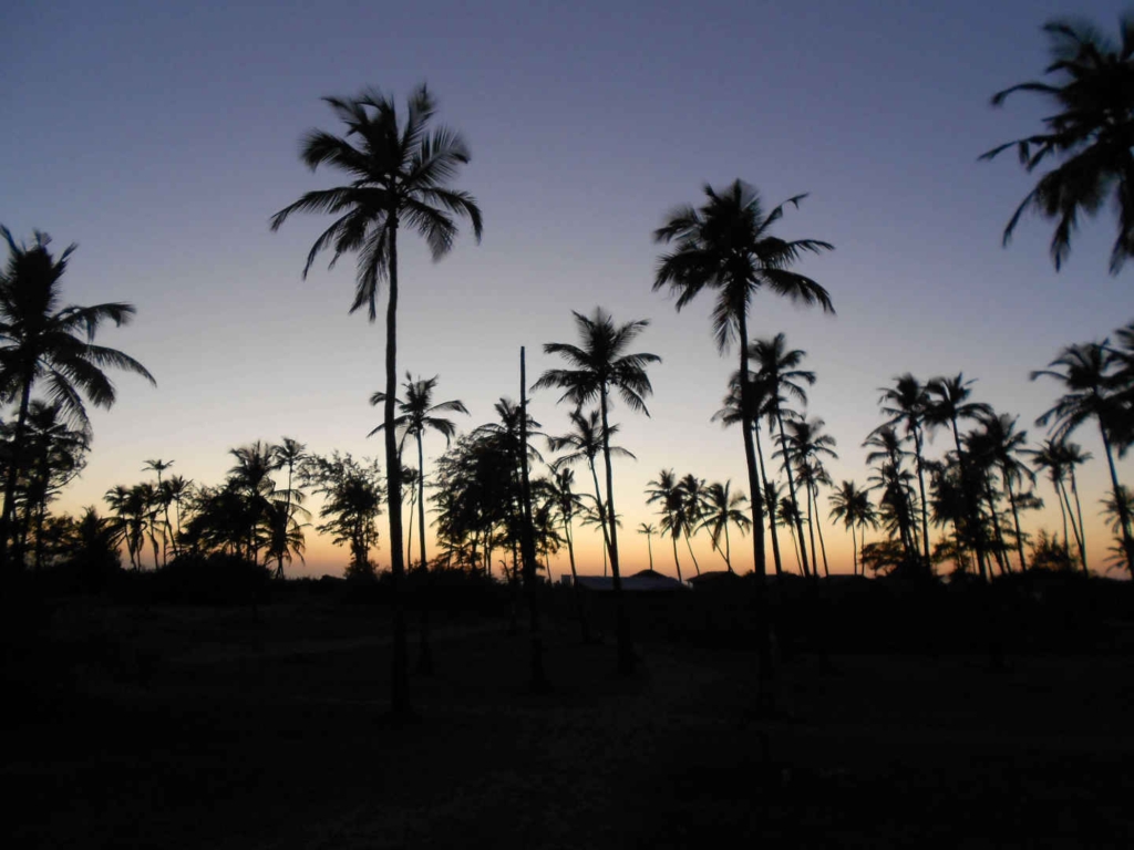 Arambol beach nightlife