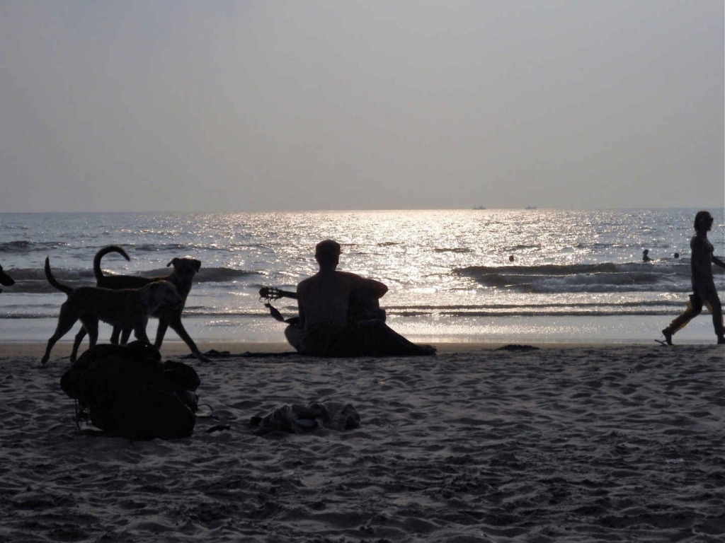 Arambol beach nightlife