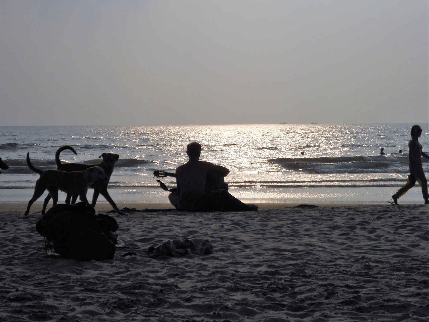 The Coolest Things To Do In Arambol Goa 2020