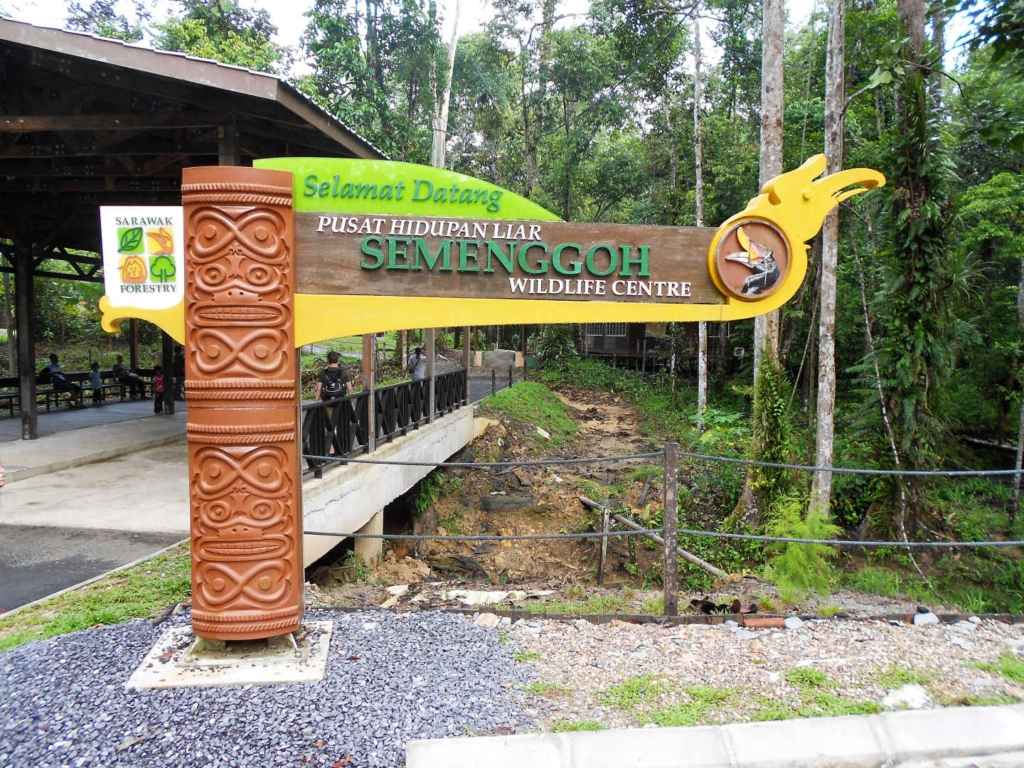 Backpacking in Borneo