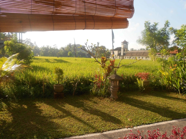 How to Spend Time in Ubud: A 3-Day Itinerary (2026)