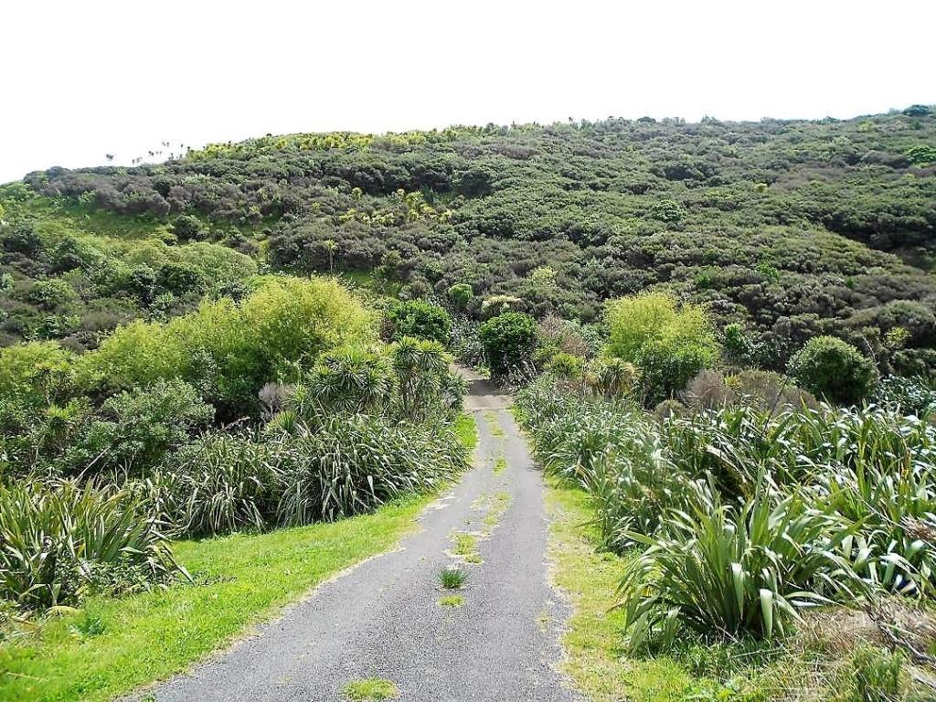 Waiheke island itinerary