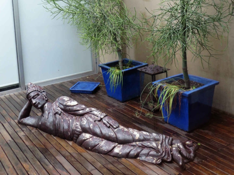 Where to Find Yoga in Buenos Aires: A Review of Valletierra