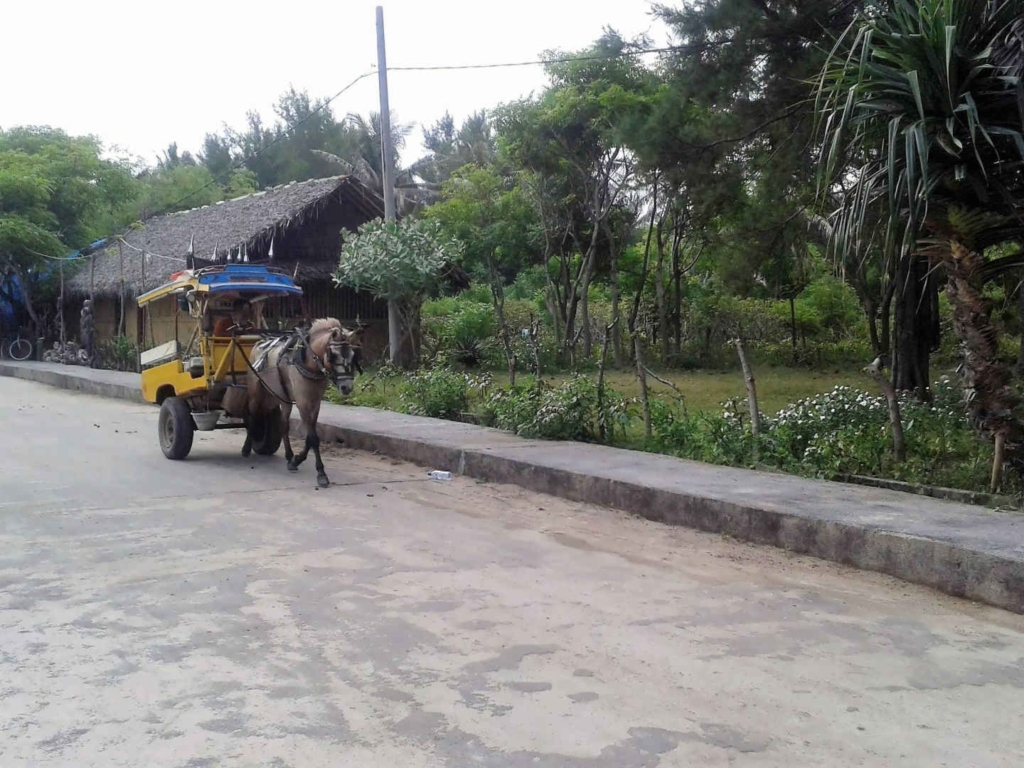 backpacker gili trawangan