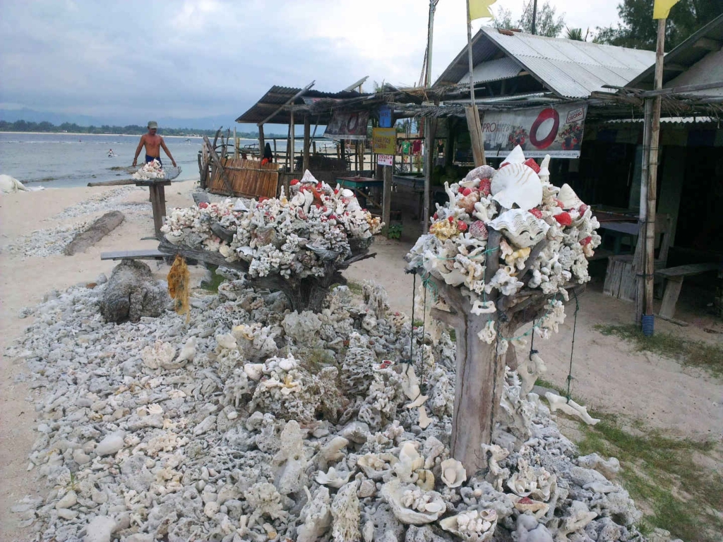 backpacker gili trawangan