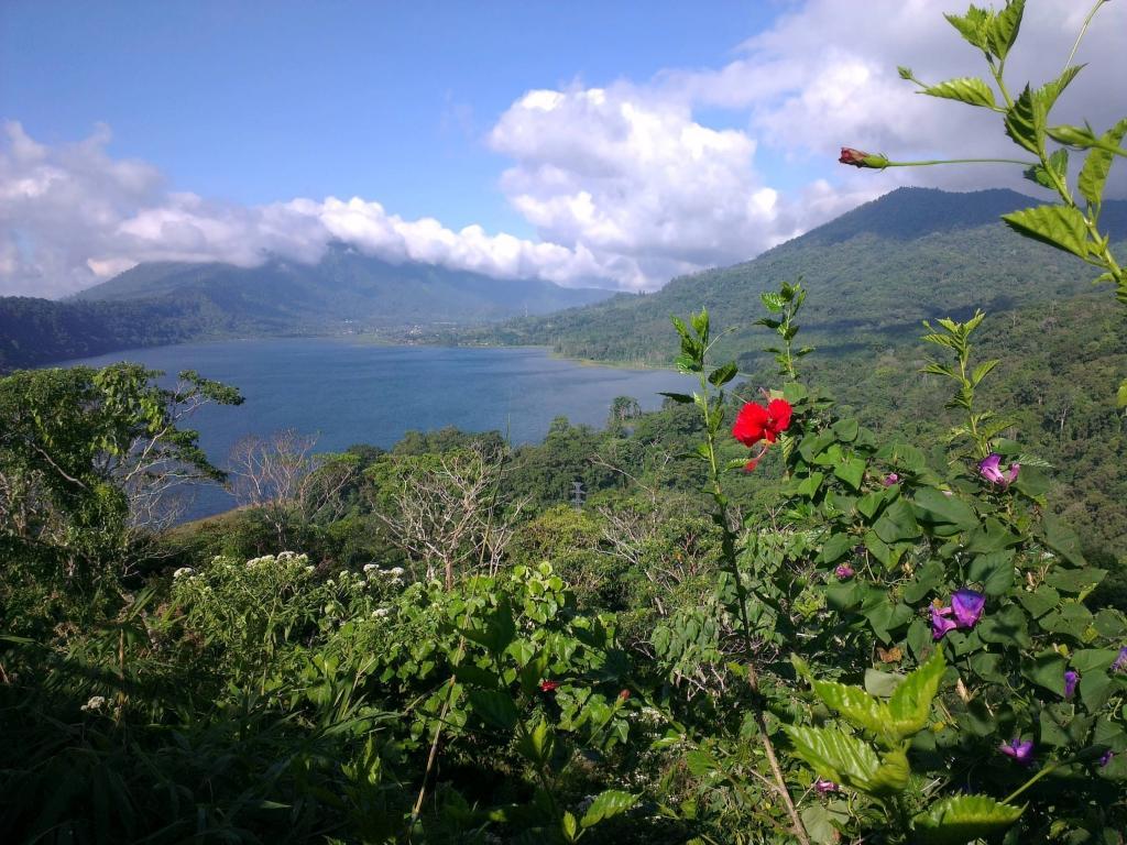 Bali buggy adventure