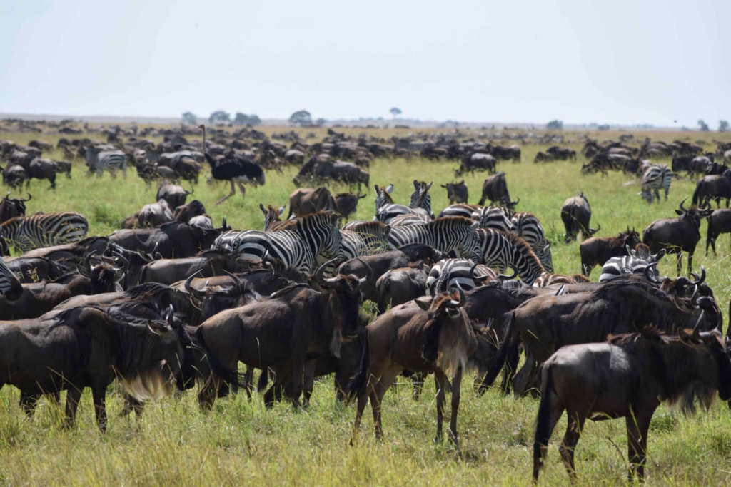 kenya backpacking