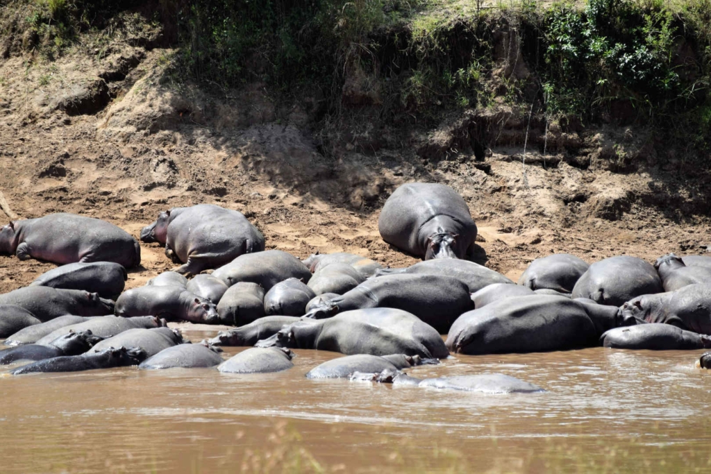 Kenya Backpacking