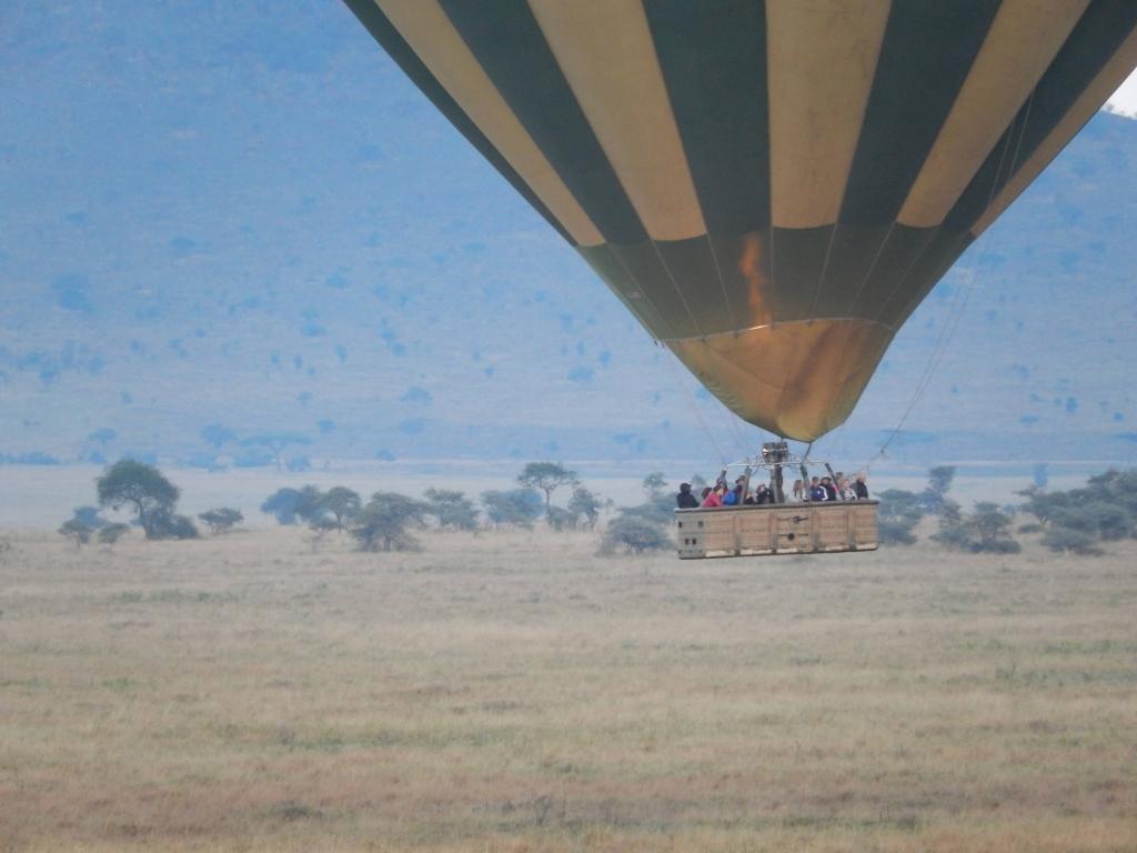 Serengeti hot air balloon