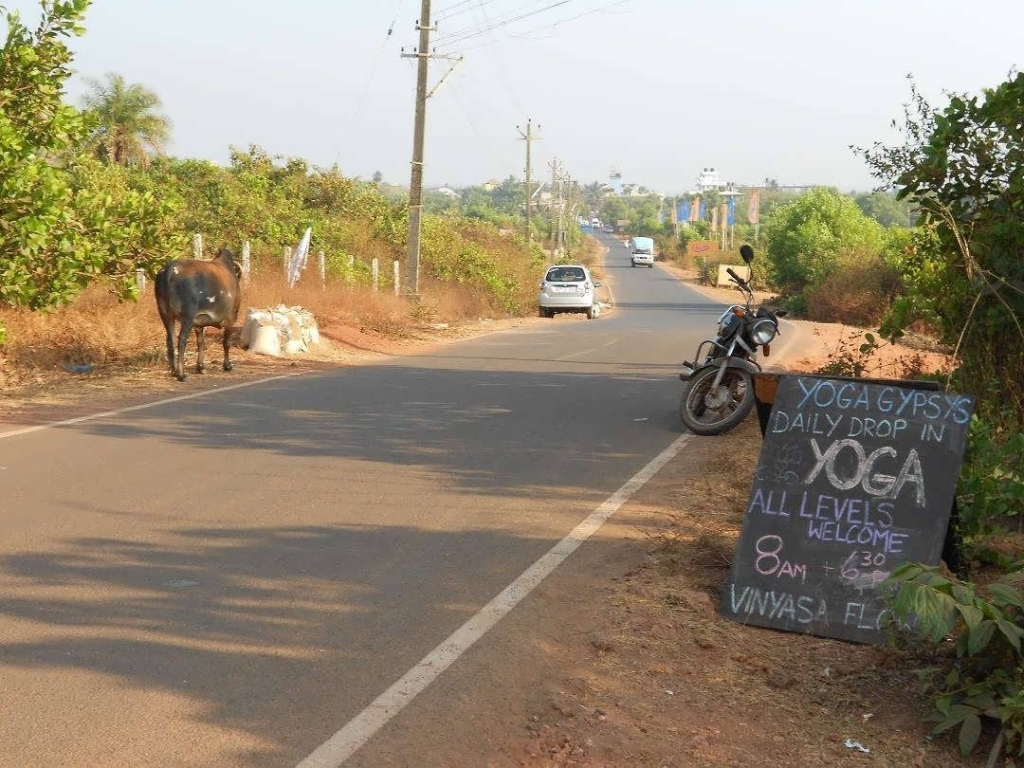 Goa solo female traveller