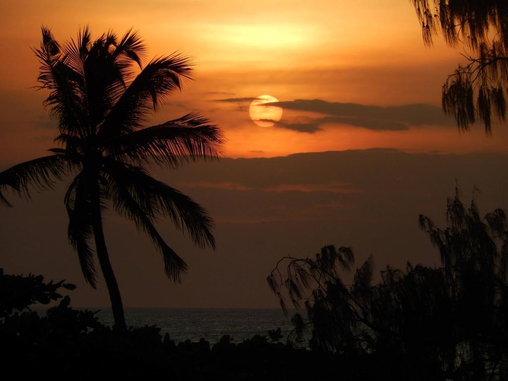 Zanzibar diving