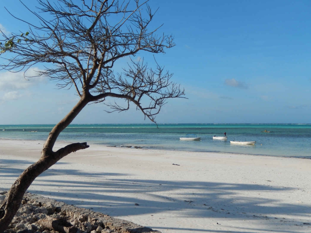 backpacking zanzibar