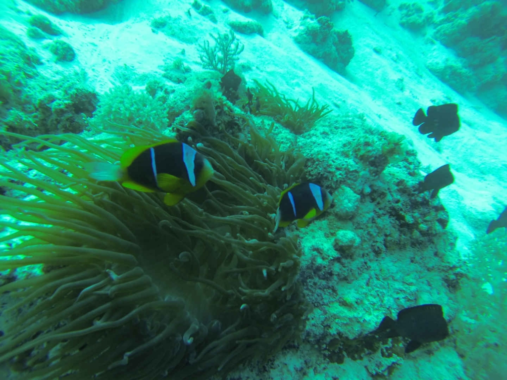 backpacking zanzibar