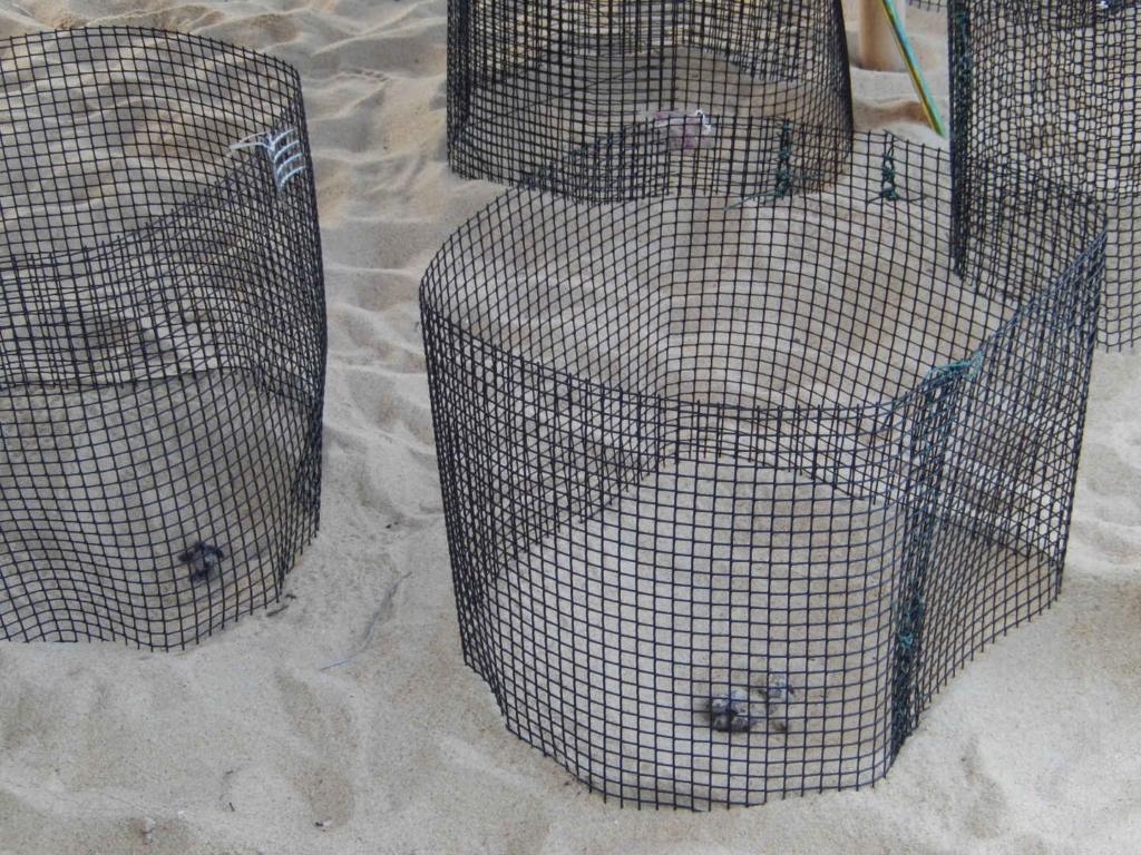 tioman island activities
