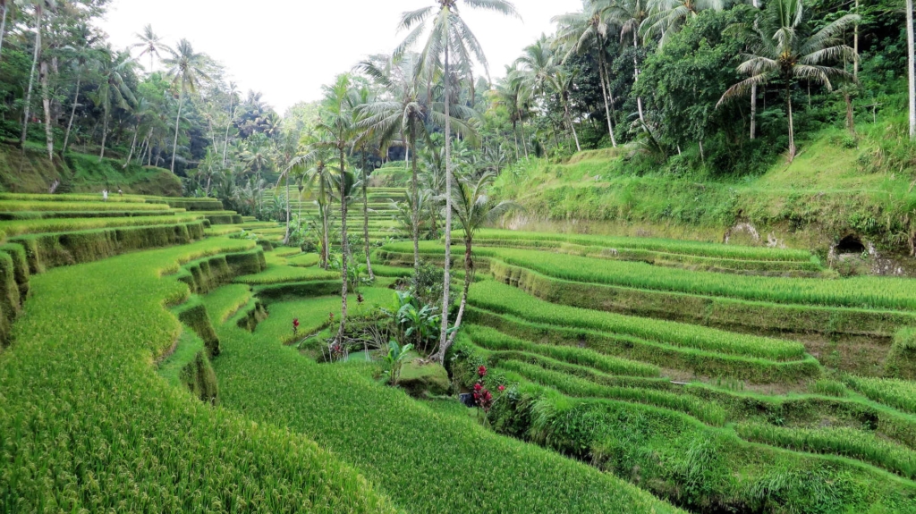 ubud itinerary