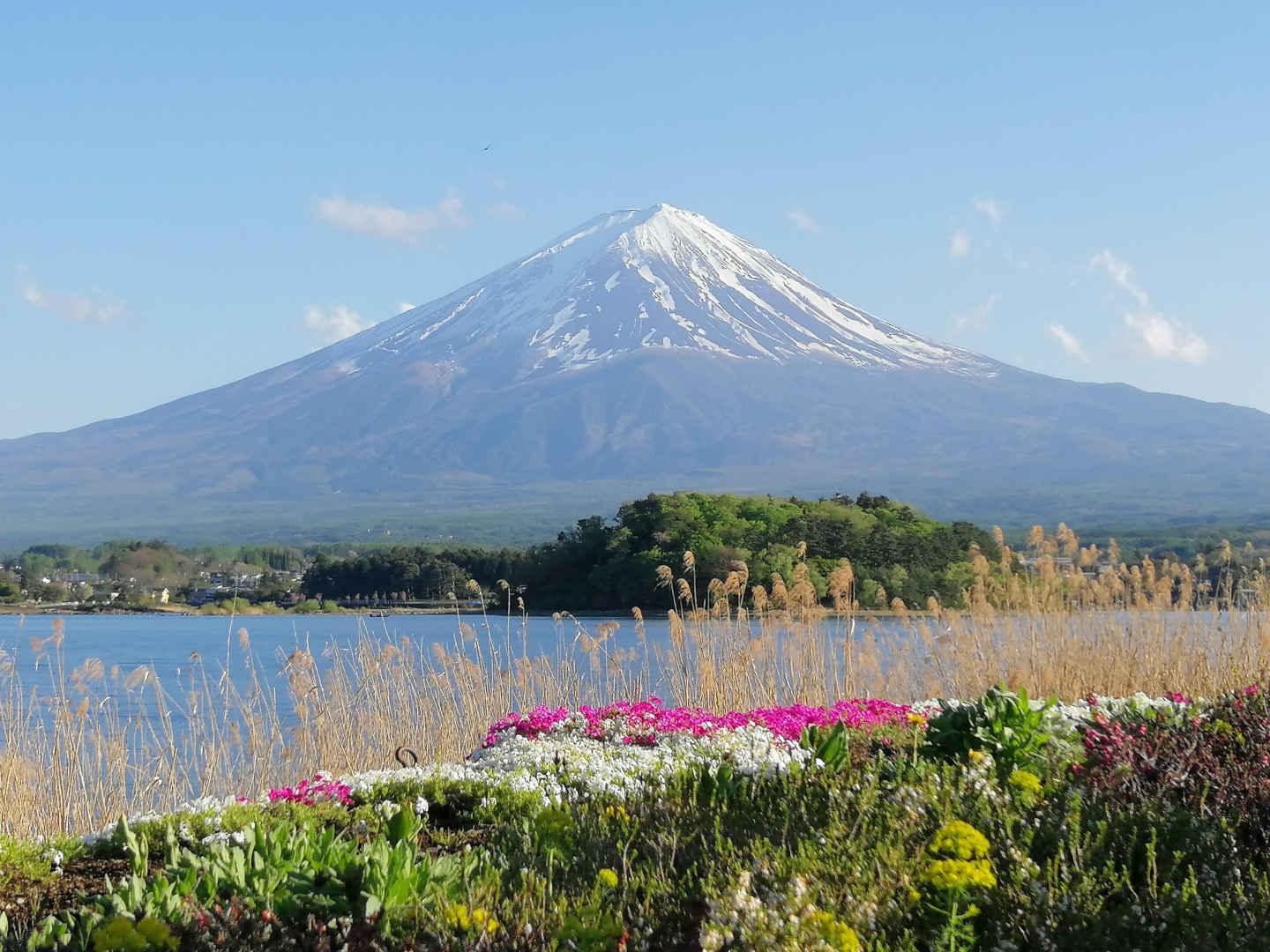 This is the Ultimate Guide to Backpacking Japan: A 3 Week Itinerary (2021)