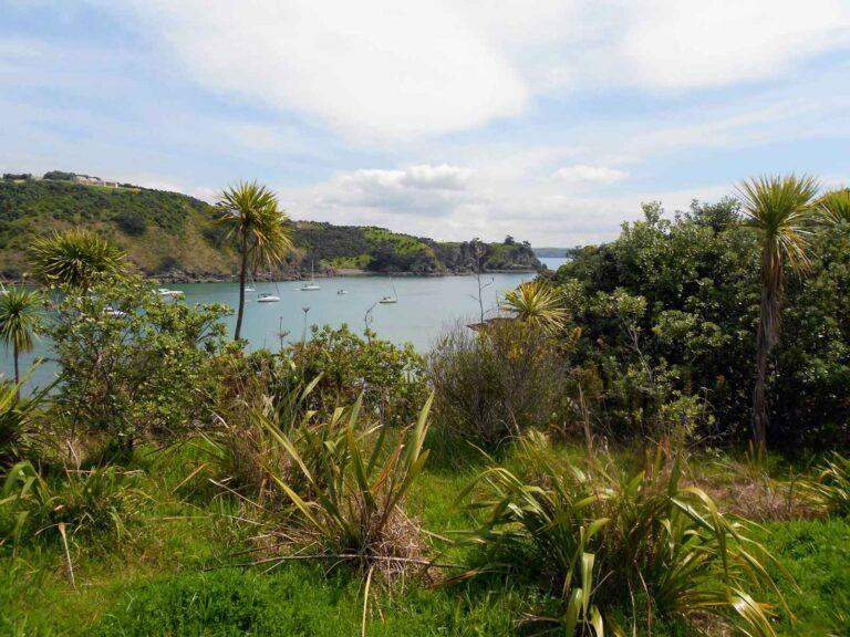 Itinerary for a Waiheke Island Day Trip (2026)